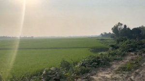 iphone 14 pro video quality | Iphone Raw Video | NO EDIT | 4K VIDEO on IPHONE 14 PRO