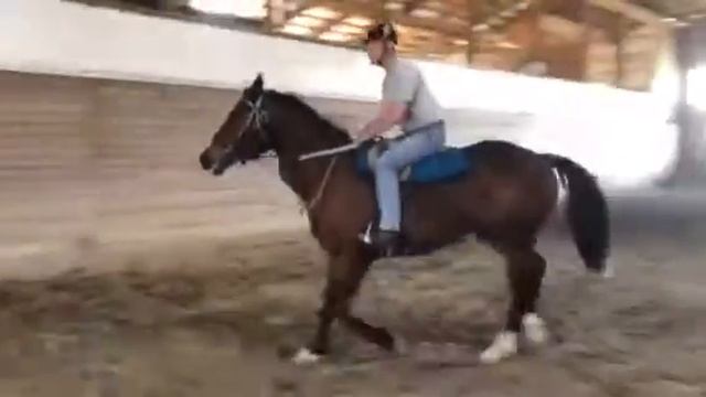 Lord Kaiser смотреть онлайн