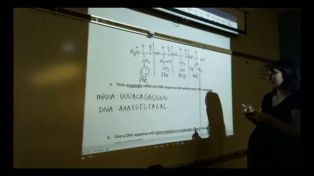 Elem Biochem Protein Synthesis Enrichment Lecture #2 смотреть онлайн