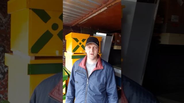 Пчеловодство  Начало