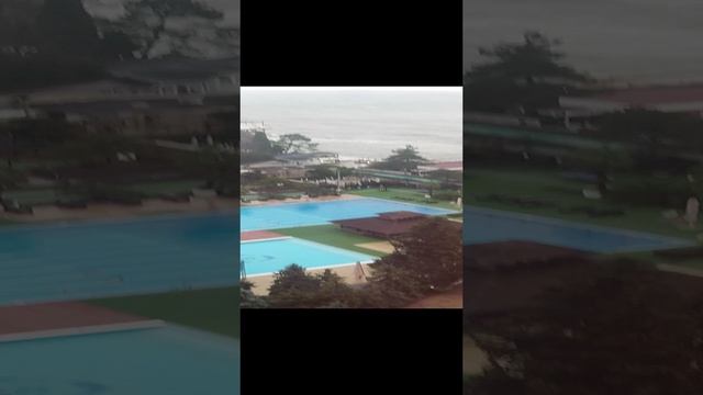 Гранд Отель "Жемчужина" декабрь 2023 г. Сочи