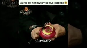 Вакте ки хамкурст касал мешава😂🤣.