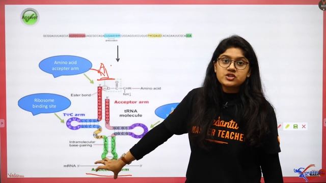 Molecular Basis of Inheritance Part 2 | NCERT Biology 12th Board |Full Chapter Revision|Ankita ma'a