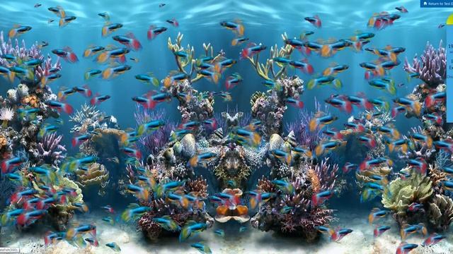 ie9 beta смотреть онлайн