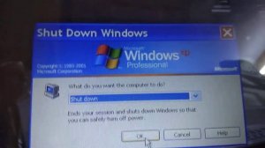 Windows XP in 2019 #windowsxp #windowssoftware #microsoft