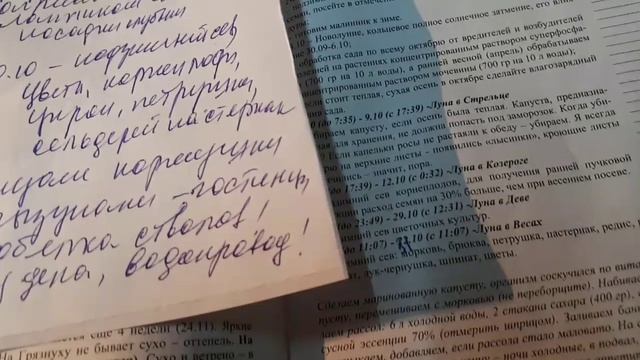 Осенние хлопоты. Календарь октября.