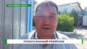 Покусанный ребёнок