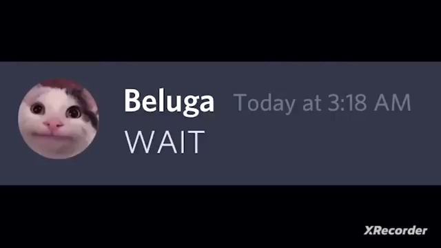 хаски исключил белугу смотреть онлайн