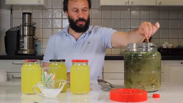 Квас на чистотеле по Болотову