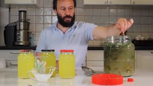 Квас на чистотеле по Болотову
