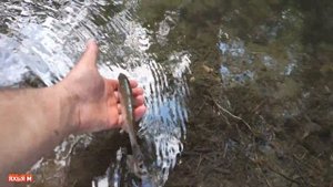 Сулак  Рыбалка  Отдых  Природа  Пятилетка