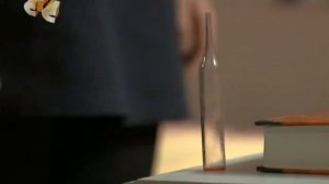 Макс и лиза зш