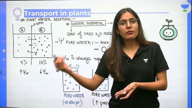 Transport in Plants | Plant Water Relations | L2 | NEET 2022/23 | Unacademy NEET | Komal Yadav смотреть онлайн