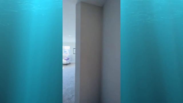 Carter 1761 Reveal смотреть онлайн