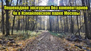 Осенний лес с жёлтой листвой. Пешеходная экскурсия без комментариев 4к в Измайловском парке Москвы