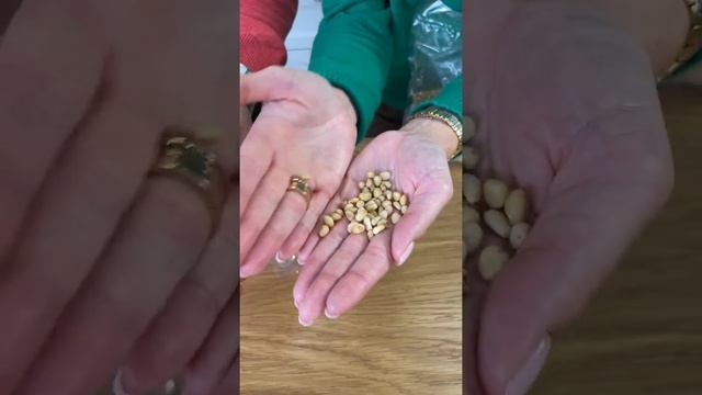 Кедровый орех очищенный смотреть онлайн