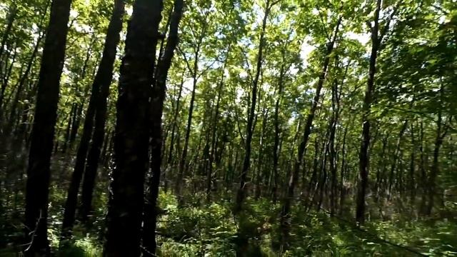 В поисках каменного жернова смотреть онлайн