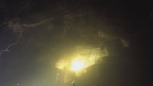 Подводная охота - речка в деревне