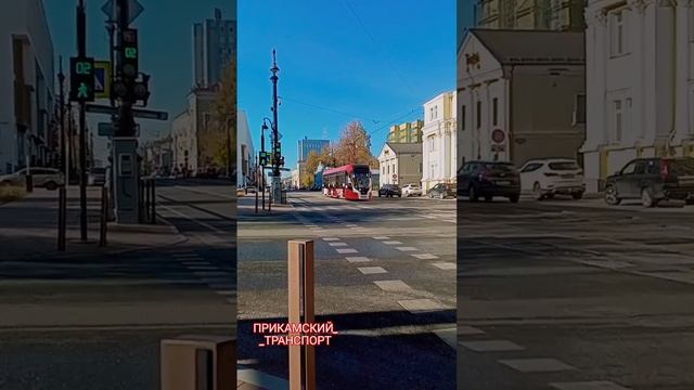 Последняя партия львят вышла! #пермскийтранспорт #пермь #пермькрасивая #трамвай #music