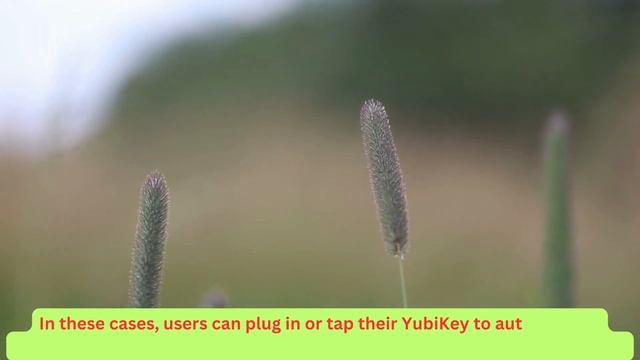 Exploring Apple's Integration with YubiKey | Yubikey Support смотреть онлайн