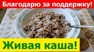 241022 Живая каша через сутки Гречка гречневая крупа кефир Сыроедение рецепт Дроздов В мире животных