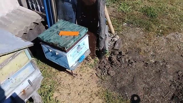 Открытие сезона пчеловодства 2021. Платформа для пчел.