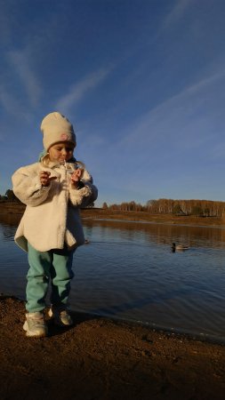 Всех накормили 🦆