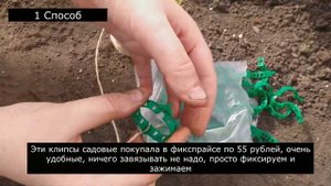 3 способа ПОДВЯЗАТЬ ТОМАТЫ БЫСТРО, экономим свое время на подвязку томатов
