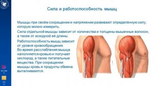 Лекция по физической культуре, тема 3   часть 1