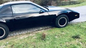 1982 Pontiac Firebird Trans Am