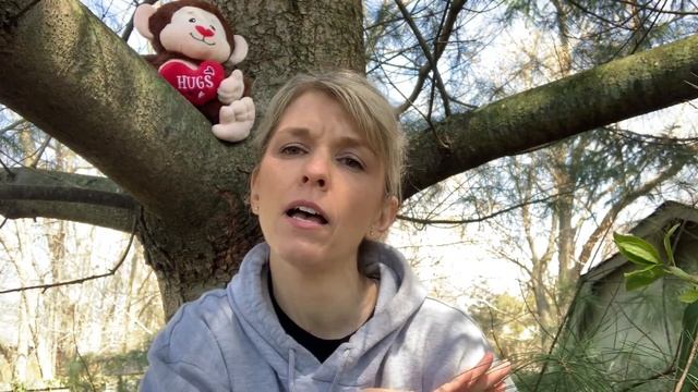 It's Library Time! A Tree is Nice by Janice May Udry 4-24-2020 смотреть онлайн