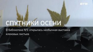 СПУТНИКИ ОСЕНИ