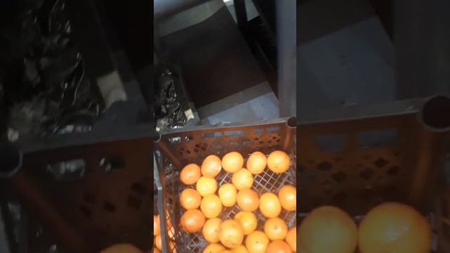 Прасрочка патруль томск. Магнит порадовал фруктами. смотреть онлайн