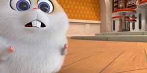 Корги по имени Моко. Домашние животные 2, 82 серия. Гений логики