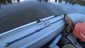 Полосатые кабанчики сделали всю рыбалку, август на Ахтубе