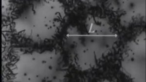 Пластическая деформация металлов, (учебный фильм.)