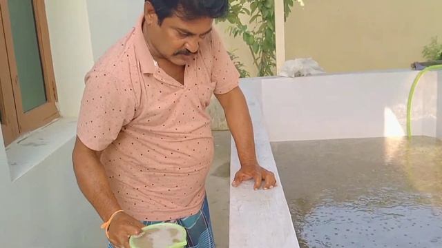 Liv-52 and Vitamin-C mixing process in water #koramenu #murrel #snakeheadfish смотреть онлайн