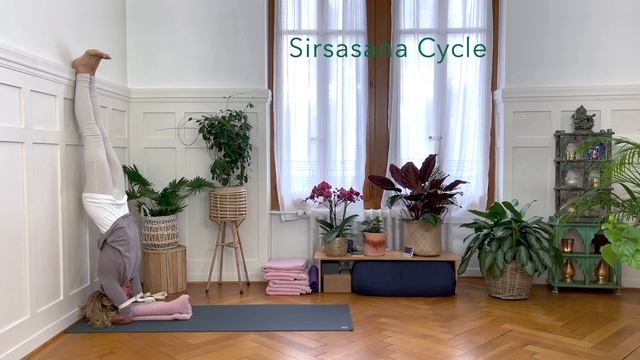 Chair Yoga | Hips, Groins, Thighs & Eka Pada Sirsasana | 86 min | Intermediate and Advanced Level