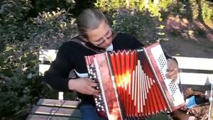 Человек и кошка на баяне кавер версия