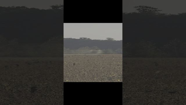 HD540 десикация смотреть онлайн