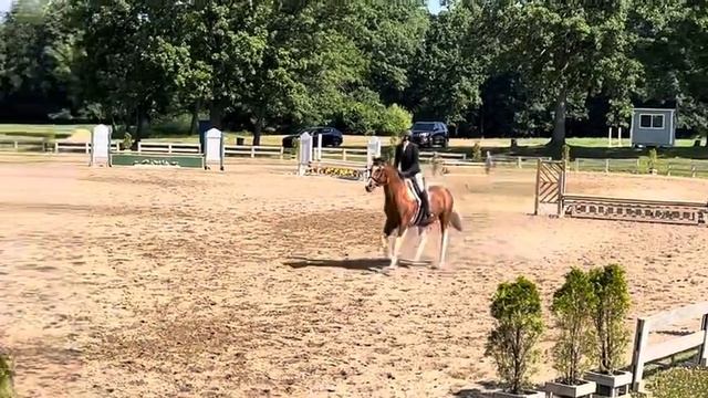 Woodbine Summer Show #3 - 2’3 Novice Hunter Warm Up смотреть онлайн