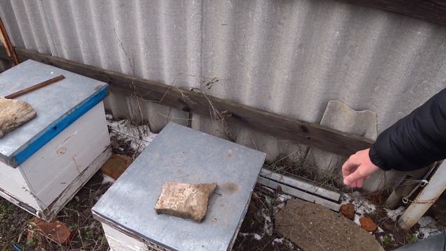 Февраль. Берут ли пчёлы сыту через пакет? Эксперимент. Ч.2. Пчеловодство смотреть онлайн