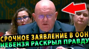 Экстренное заявление России в ООН! Зеленский готовит новую провокацию! Настоящий план победы раскрыт