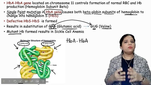 Pleiotropic genes (Pleiotropy) | Genetics Class 12 in Tamil