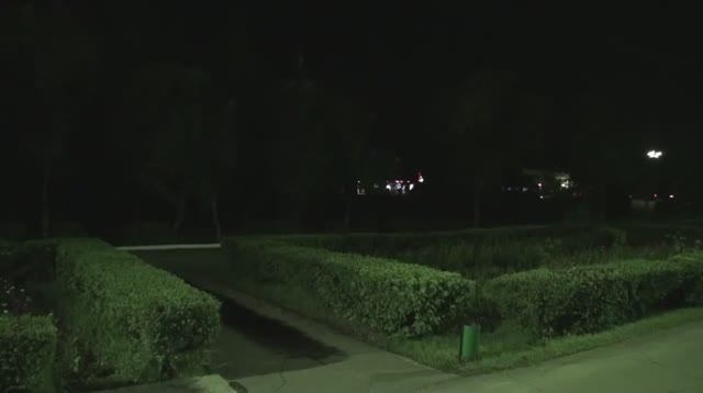 Лесозаводск . ст. Ружино. Приморский край вид из окна поезда смотреть онлайн