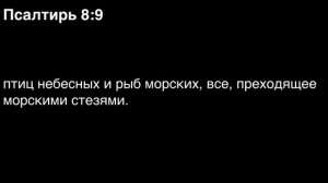 День 150. Библия за год. С митрополитом Иларионом.