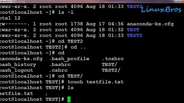 Introduction to Basic Linux commands for Beginners