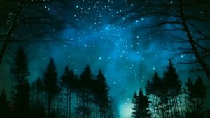 Единственная для президента (Стар Дана) Любовный роман аудиокнига (интересная история)