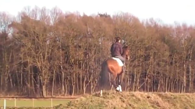 Cid over a couple of jumps смотреть онлайн