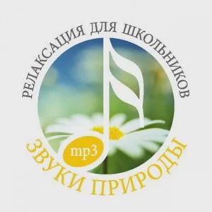 🌿РЕЛАКСАЦИЯ  ДЛЯ  ШКОЛЬНИКОВ🌿RELAXATION  FOR   SCHOOLCHILDREN🌿